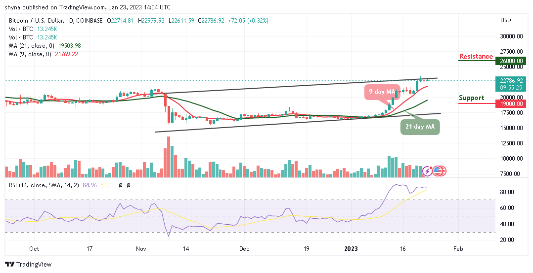 Bitcoin Price Prediction for Today, January 23: BTC/USD Range-bounds; A Recovery to $23k Resistance?