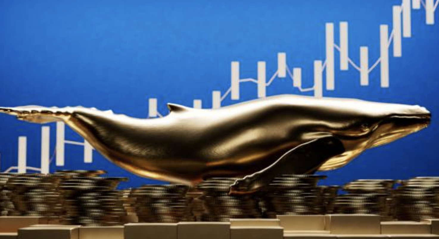 Crypto Whales are Stocking Up on These Altcoins – Find Out Why