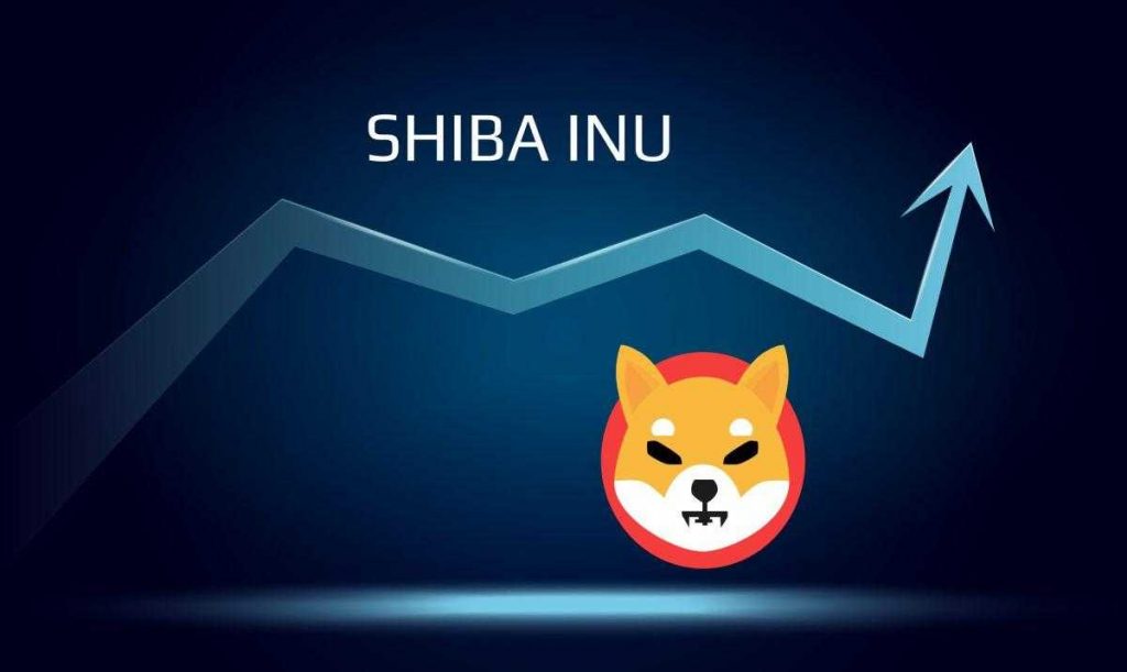 shiba