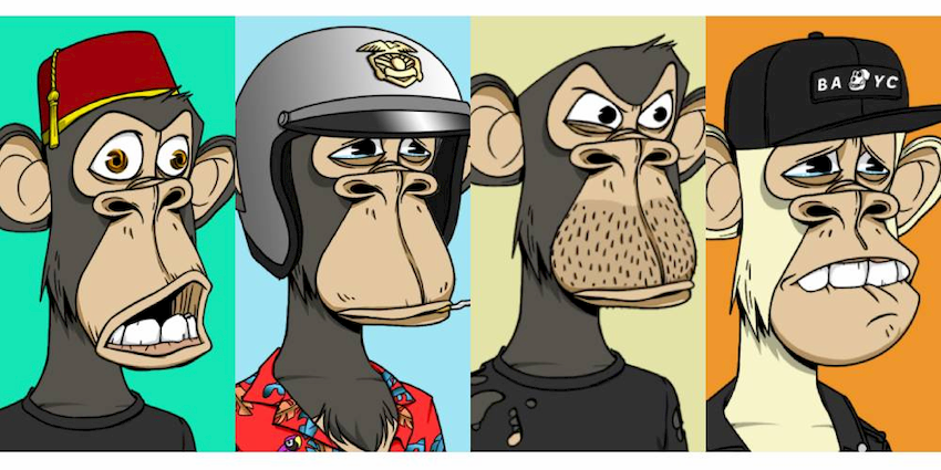 Bored Ape NFT Collection