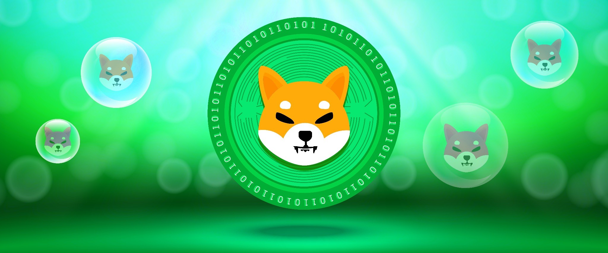 DigiToads utility sets itself apart from Shiba Inu and Pepe as meme coins demand grows