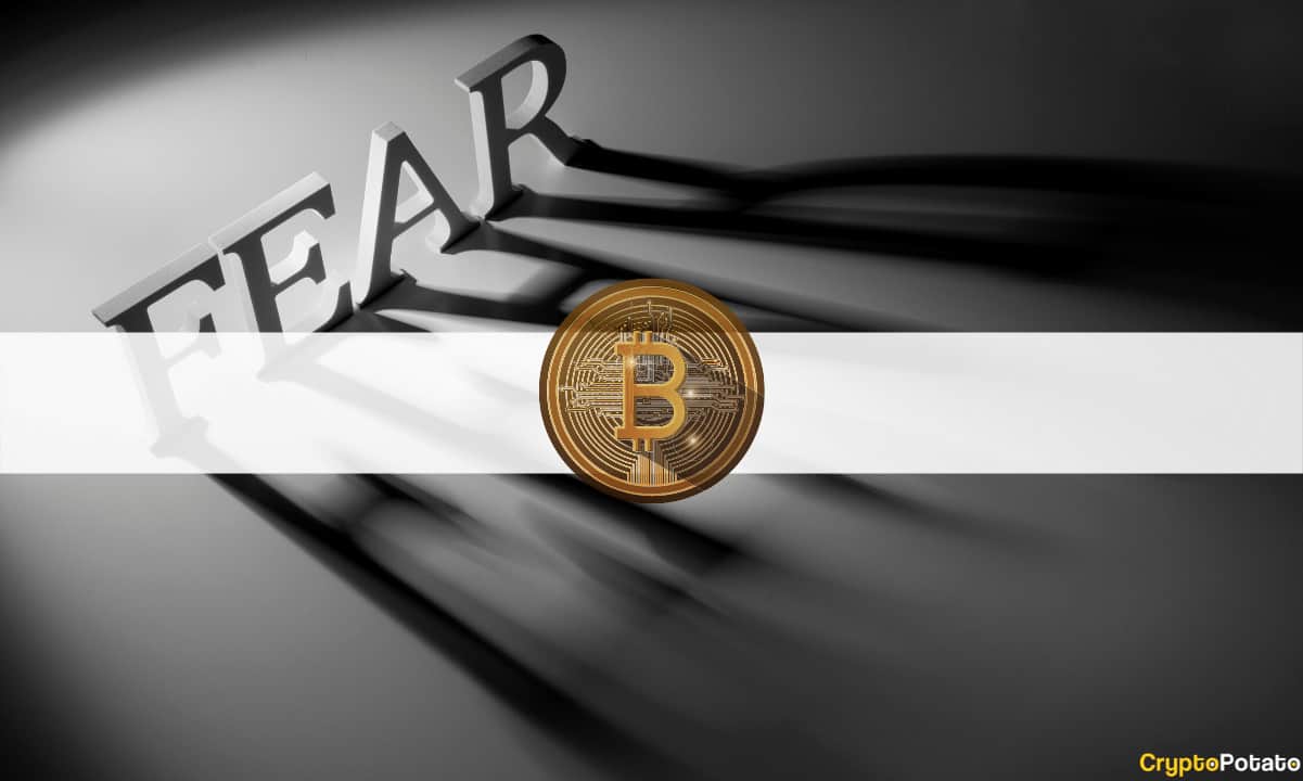 Bitcoin Fear and Greed Index Signals Fear for 2 Conscutive Days