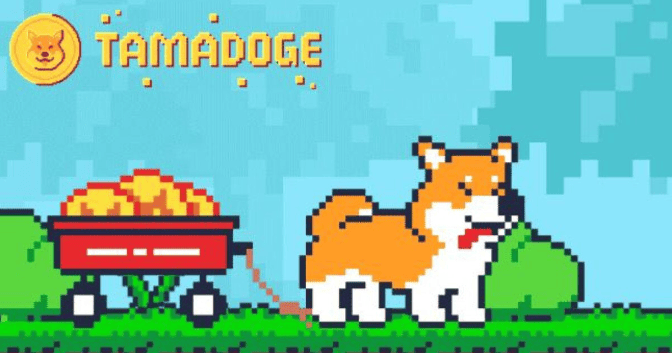 Tamadoge, the Dominant Play-to-Earn Gaming Ecosystem, Launches App on iOS and Android Stores, Leading the Web3 Adoption Revolution