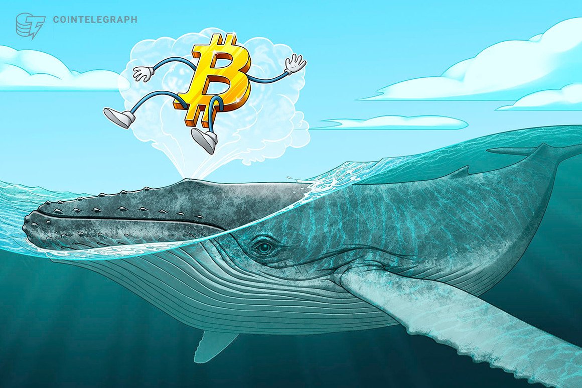 Bitcoin whale exchange inflow share hits 1-year high — over 40%