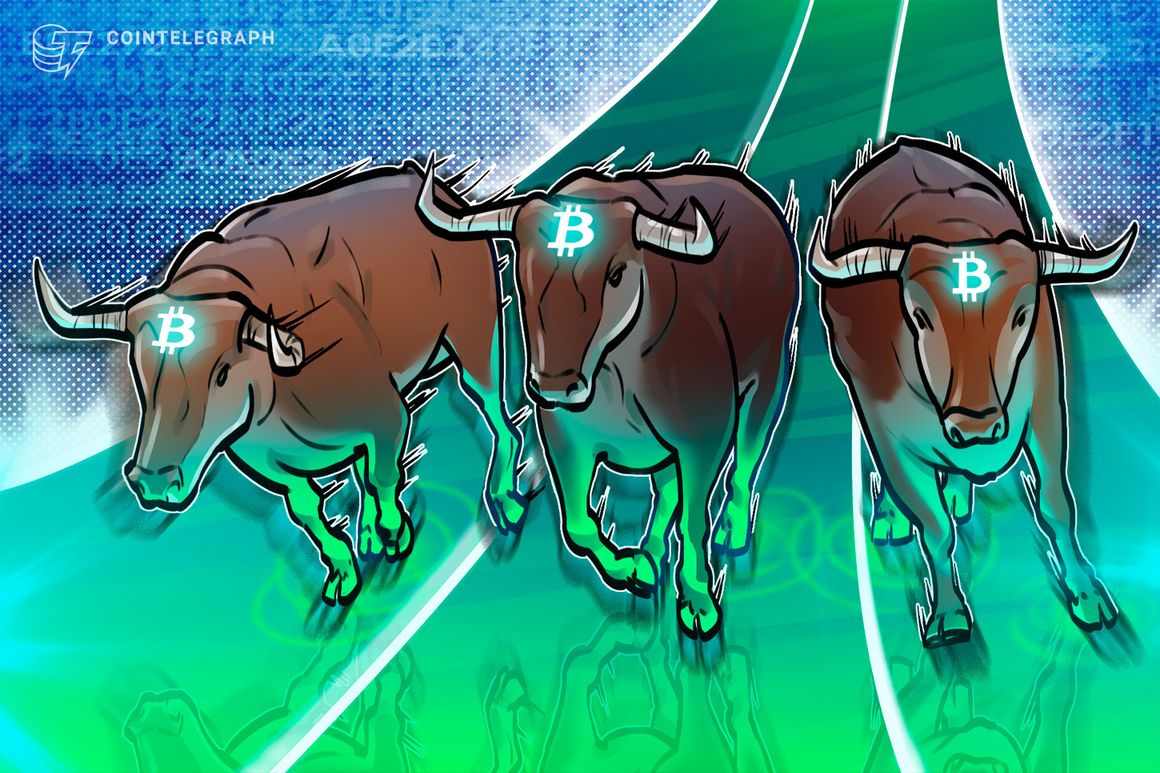 Bitcoin all-time high in 2025? BTC price idea reveals ‘bull run launch’