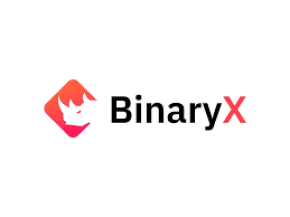 BinaryX