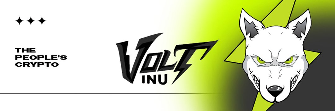 Volt feature image